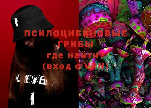 ешки Мегион