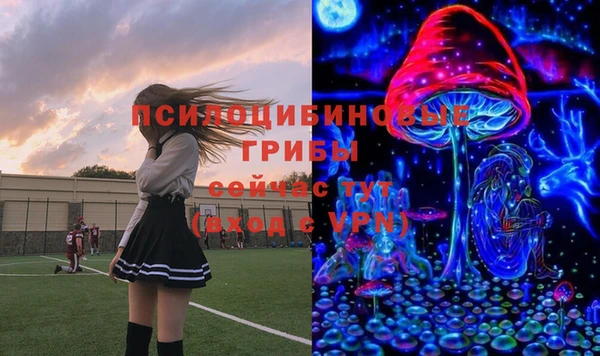 не бодяженный Медвежьегорск