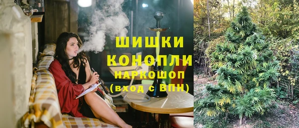ешки Мегион