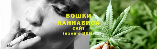 метадон Медногорск