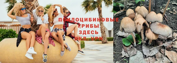 не бодяженный Медвежьегорск