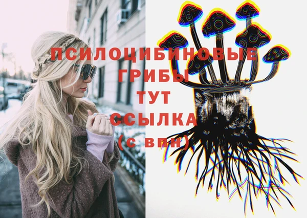 не бодяженный Медвежьегорск