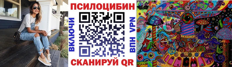 ссылка на мегу зеркало наркотики Бологое Галлюциногенные грибы Cubensis
